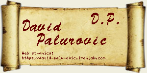 David Palurović vizit kartica